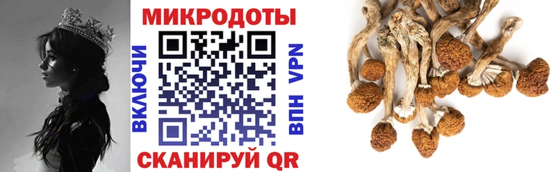 Галлюциногенные грибы мицелий  дарнет шоп  Сурск 